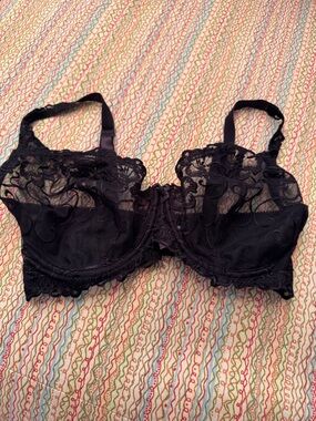 Sheer Black Lace Underwire Bra with Embroidered Cups 36DD